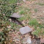 Photo of a backyard stream with concrete pavers situated over a portion of the stream.